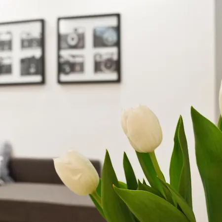 Washington Studio - Hq * Milano